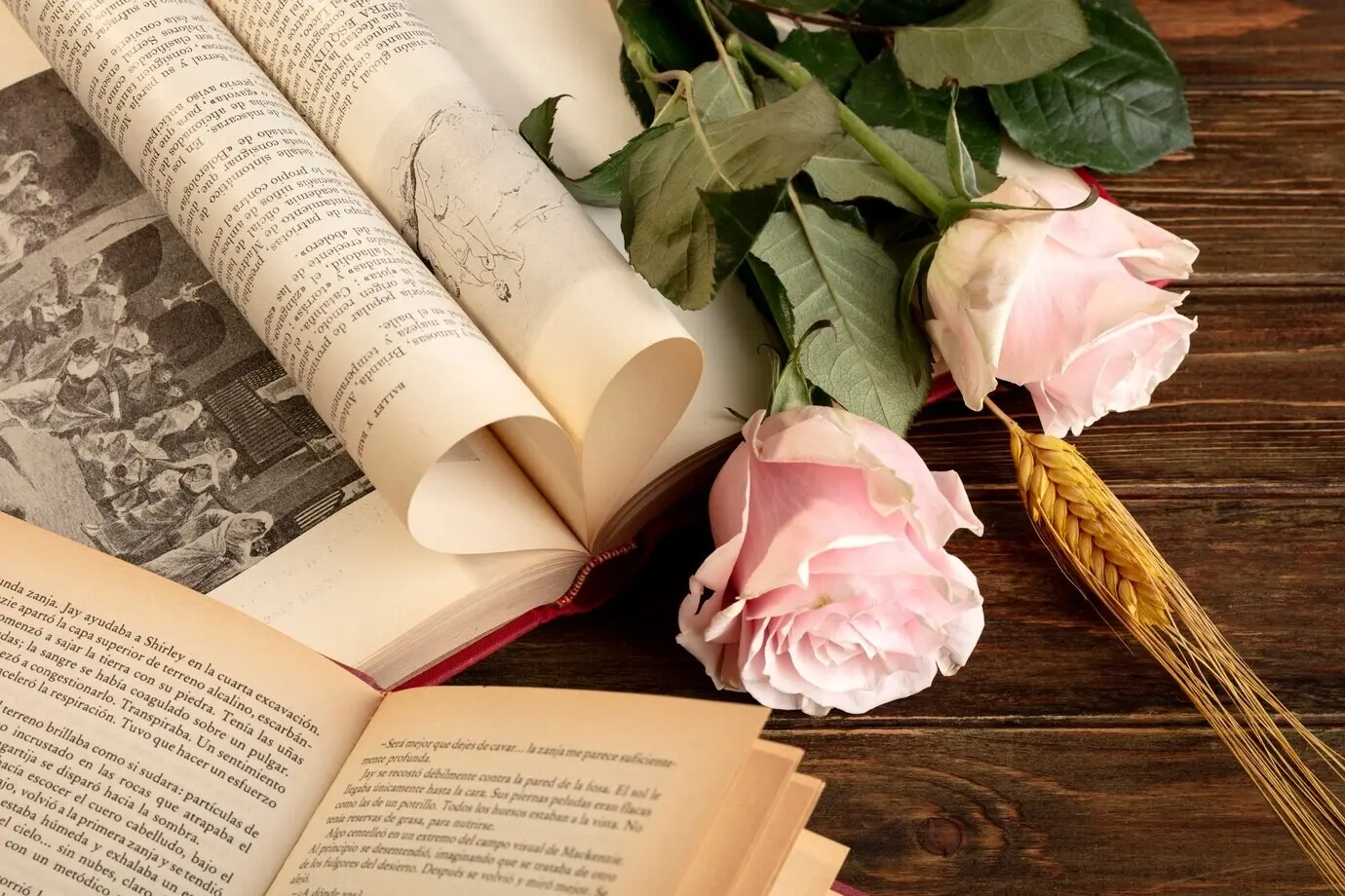 Stillleben zu Sant Jordi für den Tag der Bücher und Rosen